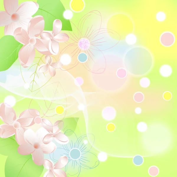 Spring background — Stock Vector