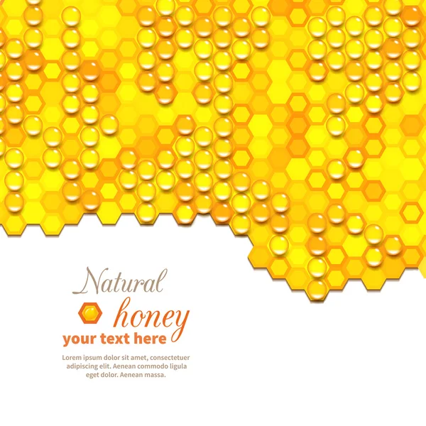 Miel natural — Vector de stock
