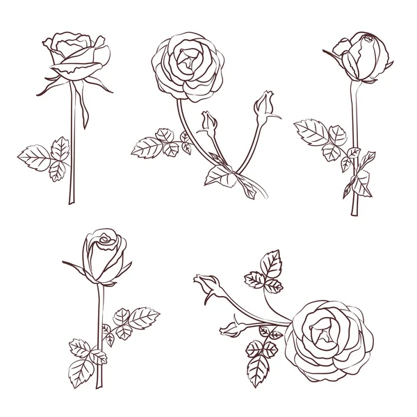 Set de roses — Image vectorielle