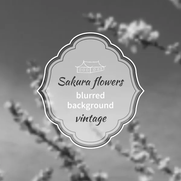 Цветы сакуры — стоковый вектор