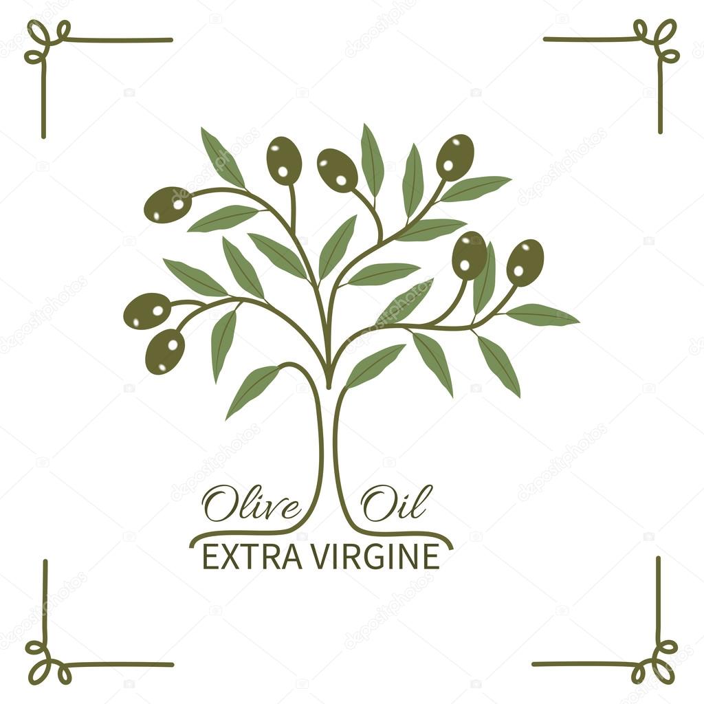 The olive tree and olive oil typography.Logo label badge