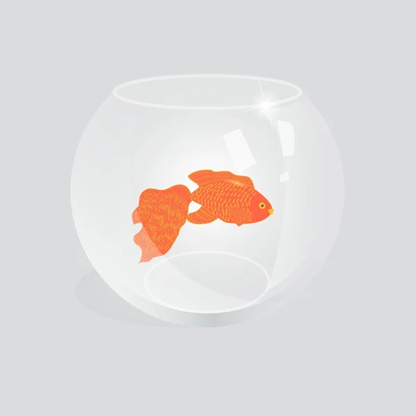Poisson doré en aquarium — Image vectorielle