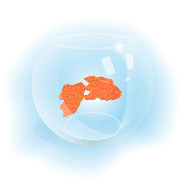 金の魚の水槽 — ストックベクタ