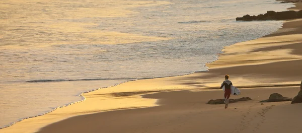 Sunset surfer on shore