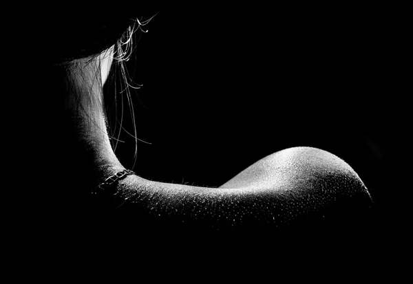 Elegant curves of female naked shoulder