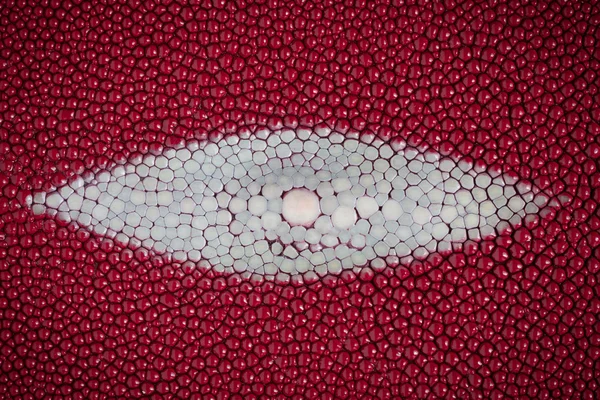 Textura vermelha da pele do stingray — Fotografia de Stock
