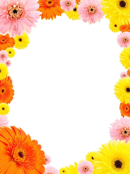 Flower create a frame — Stock Photo, Image