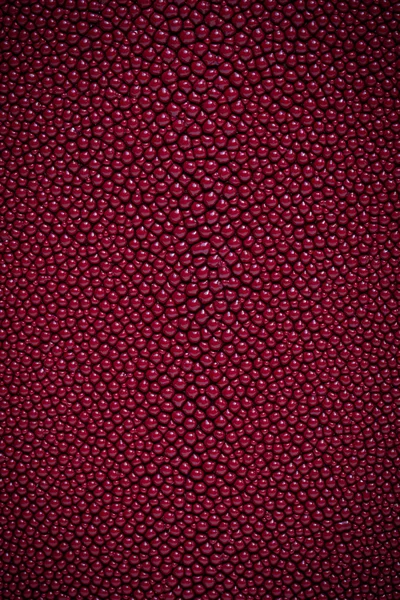 Red stingray skin texture — Stock Photo, Image