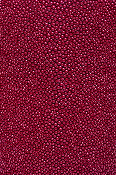 Red stingray skin texture — Stock Photo, Image