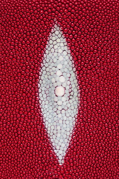 Красная ткань кожи ската — стоковое фото