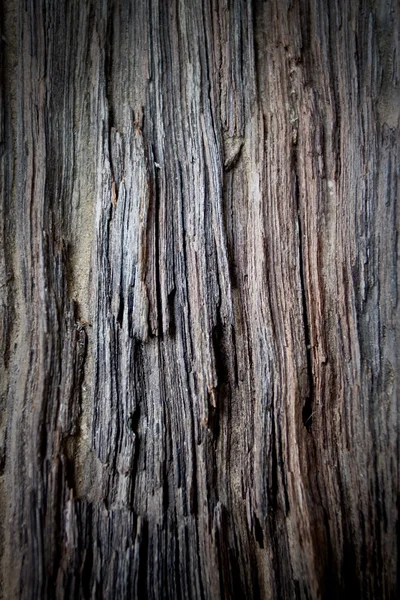 Wood texture — Stock Photo, Image