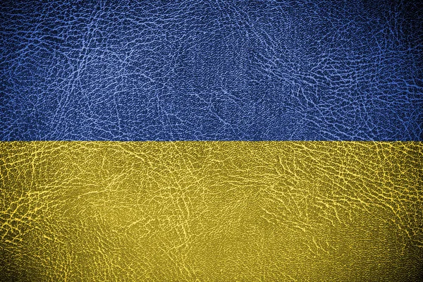 Ukrainische Flagge — Stockfoto