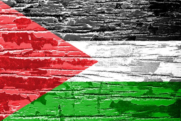 Bandeira da Palestina — Fotografia de Stock