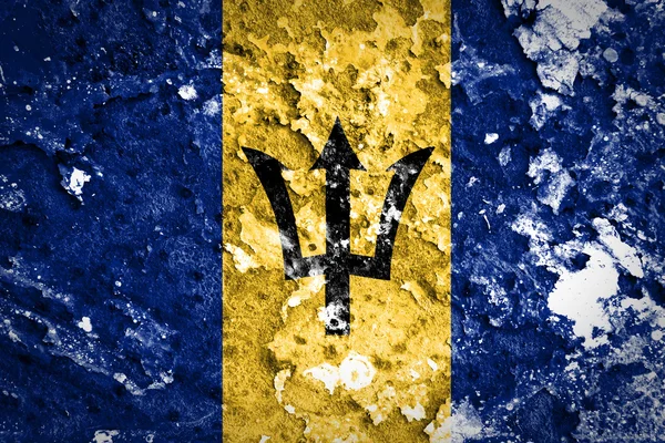 Barbados flag — Stock Photo, Image