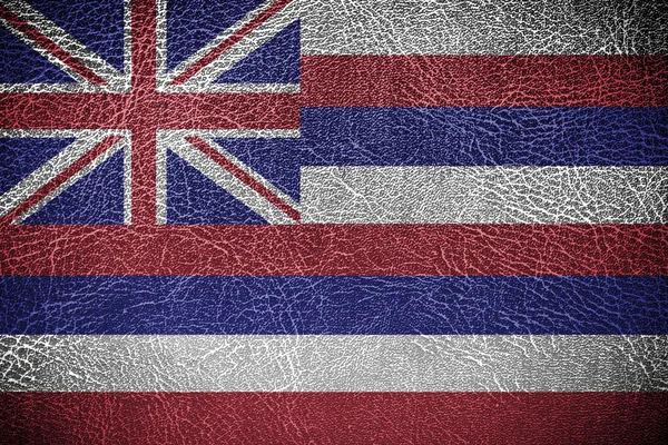 Hawaii Flag — Stock Photo, Image