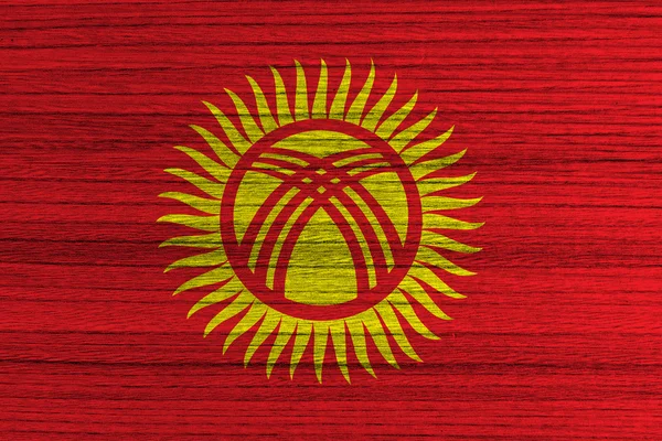 Kyrgyzstan Flag — Stock Photo, Image