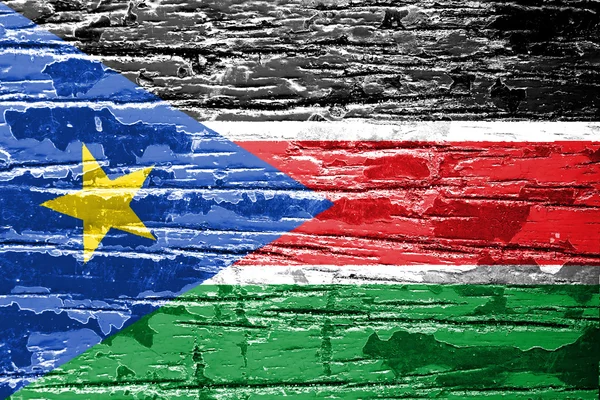 South Sudan flag — Stock Photo, Image