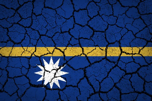 Drapeau de Nauru — Photo