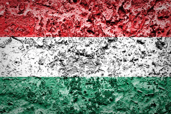 Hungary Flag — Stock Photo, Image