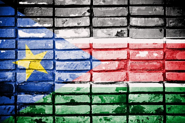 South Sudan Flag — Stock Photo, Image