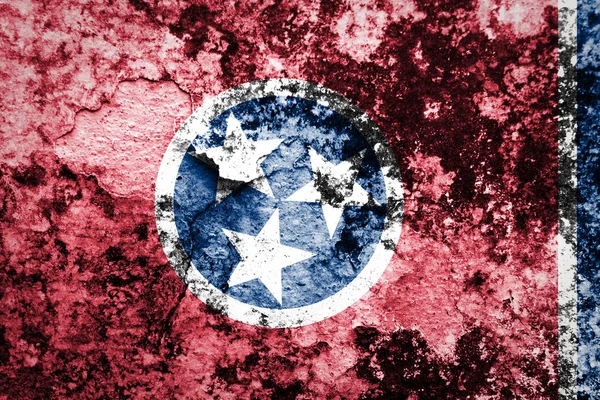 Bandiera dello Stato del Tennessee — Foto Stock