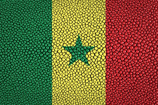 Senegal bayrağı — Stok fotoğraf