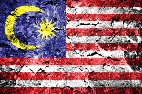 Malaysia flag — Stock Photo, Image