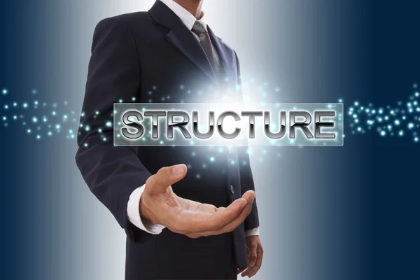 Businessman hand showing structure — Stock Photo, Image