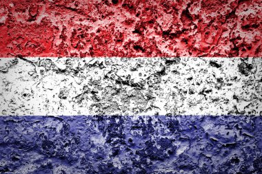 Grunge duvar Avrupa ülkesi Hollanda