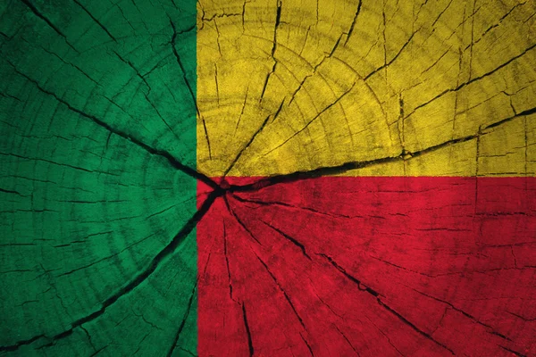 Benins flagga — Stockfoto