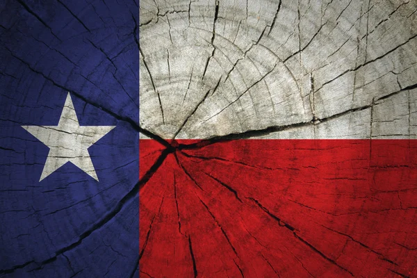 Bandeira do Estado do Texas — Fotografia de Stock