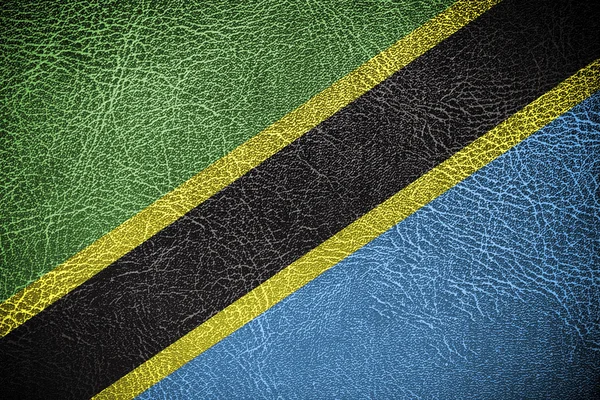 Tanzania flaggan målad på läder texture — Stockfoto