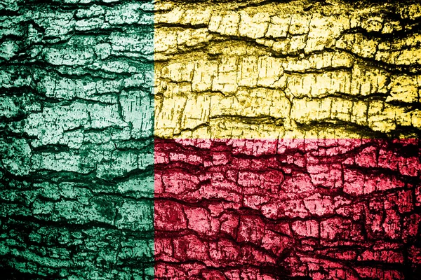 Vlag van Benin — Stockfoto