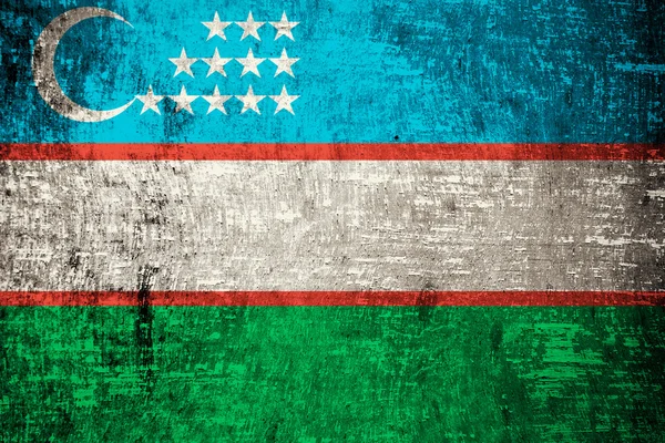 Uzbekistan Flag — Stock Photo, Image