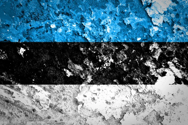 Estonian flag — Stock Photo, Image