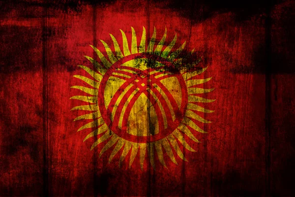 Kyrgyzstan Flag — Stock Photo, Image