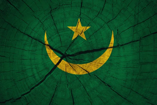 Mauritanie Drapeau — Photo