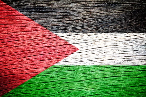 Palestine Flag — Stock Photo, Image