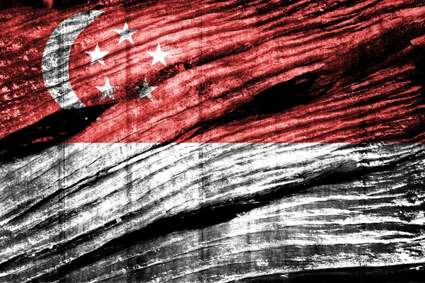 Singapore flag — Stock Photo, Image