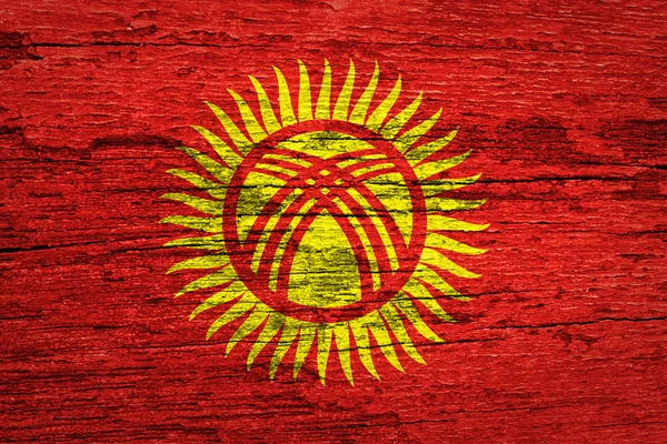 Kyrgyzstan Flag — Stock Photo, Image