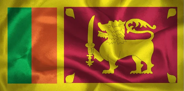 Sri Lanka bandiera sfondo texture . — Foto Stock