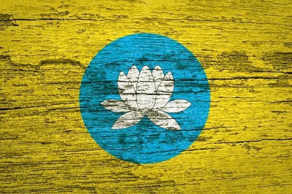 ウッド テクスチャにカルムイク共和国国旗 — ストック写真