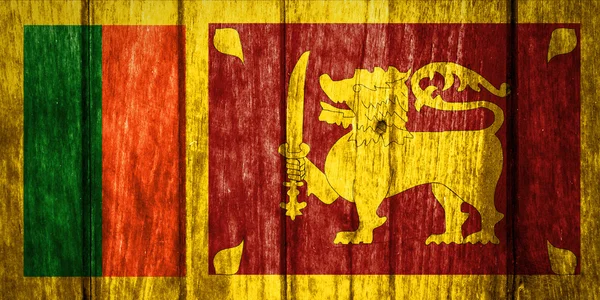 Sri Lanka Flag on wood texture — Stock Photo, Image