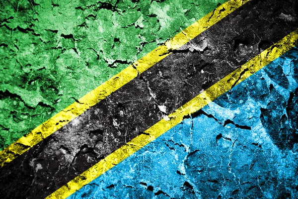 坦桑尼亚国旗 — 图库照片