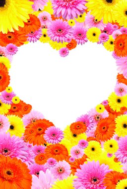 Arka plan gerbera çiçek bir çerçeve oluşturma