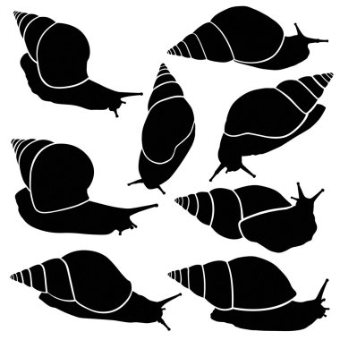 salyangoz siluetleri koleksiyonu