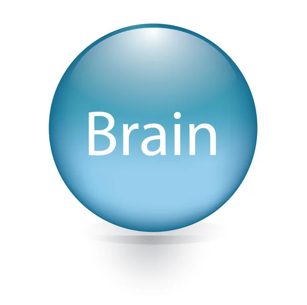 Brain word blue button — Stock Vector