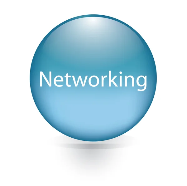Networking word blue button — Stock Vector