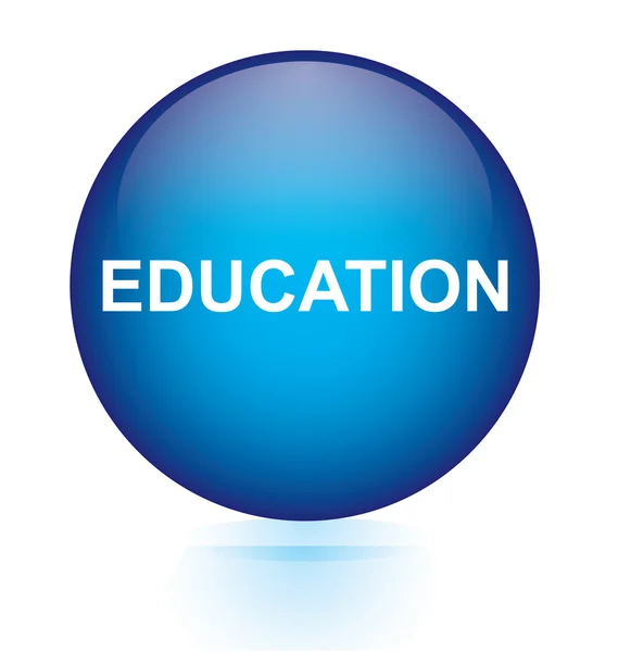 Onderwijs blauwe ronde knop — Stockvector
