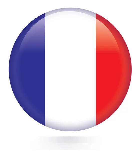 France flag button — Stock Vector